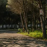 Flat On Relaxing Golem (Tirana)
