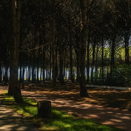 Апартаменты Flat On Relaxing Голем