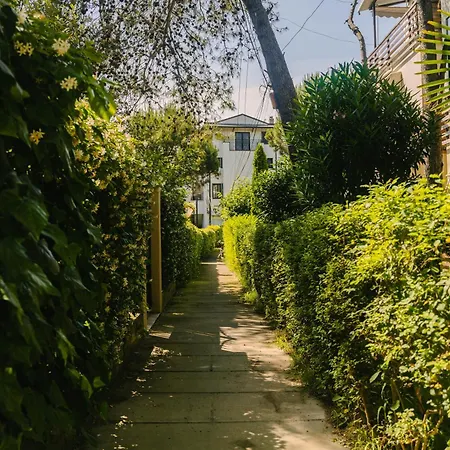 Flat On Relaxing * ゴーレム