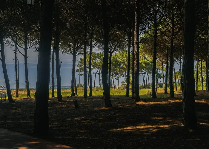 Flat On Relaxing Apartment