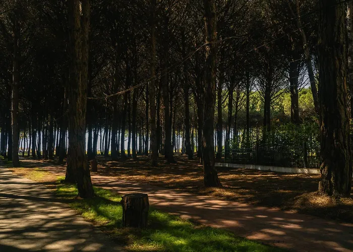 Apartment Flat On Relaxing Golem (Tirana)